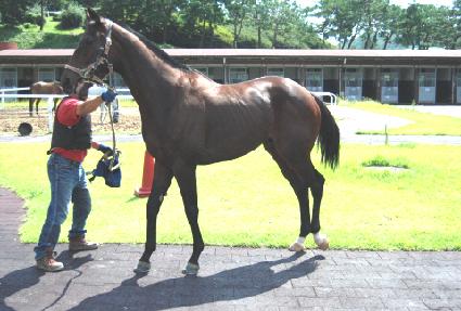 û��� ����