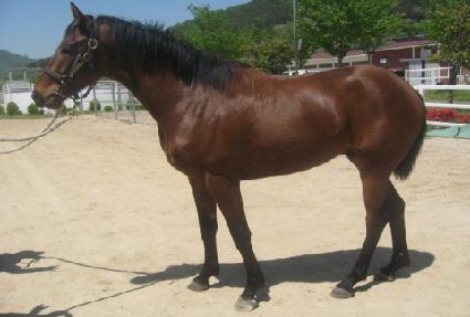 �������� ����