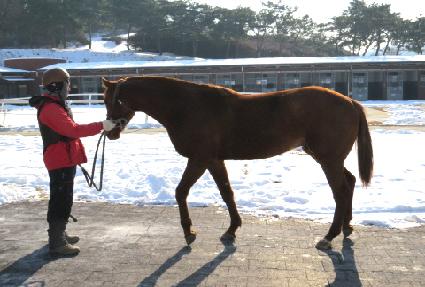 ��������� ����