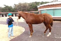 ������è�Ǿ� (BLESS CHAMPION) ����