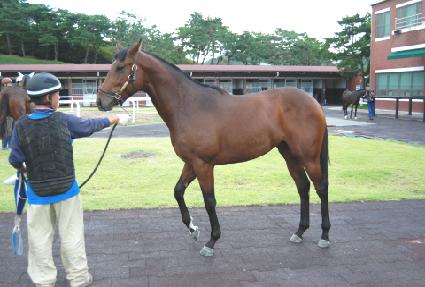 ���̾�Ĺ ����