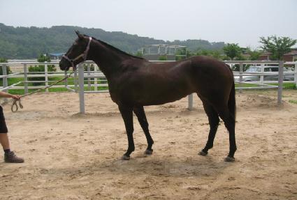 û���ܼ�Ʈ ����