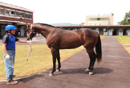 ����ũ���佺 ����