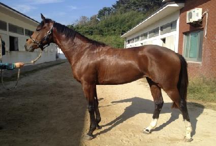 ���е��� ����