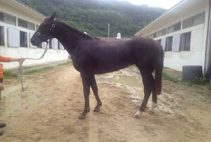 �Ƹ��ٿ�û�� ����