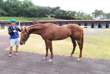 ����ũ ����