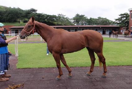 �����۷θ� ����