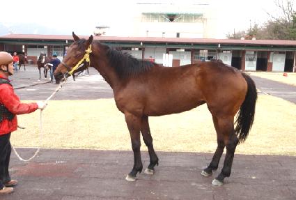 ��õ���� ����