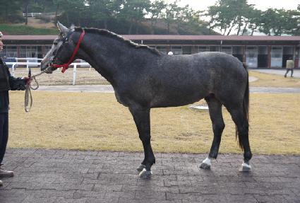 ��η� ����