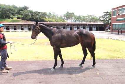 ��ӵ�ǳ ����