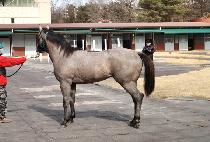 ��Ʈ��õ (BOLT INCHEON) ����