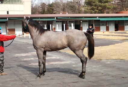 ��Ʈ��õ ����