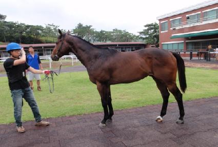 ���������� ����