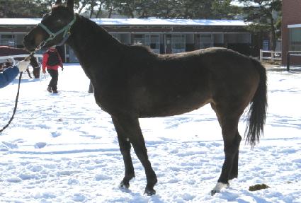 ���� ����