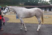 ���񼱴� (POBI THUNDER) ����