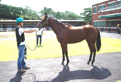 �ٳ� ����