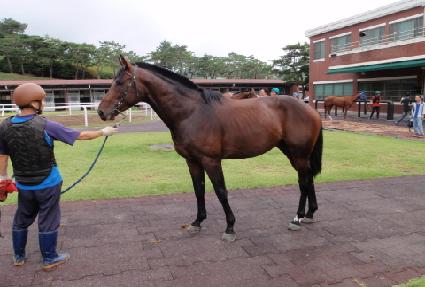 ���Ž�Ƽ ����