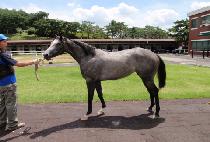 ��õ�ǽ¸� (INCHEONUI SEUNGNI) ����