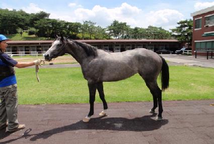 ��õ�ǽ¸� ����