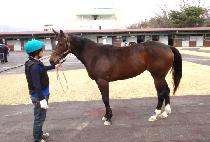 ��õ�ҳ�Ÿ (INCHEON SONATA) ����