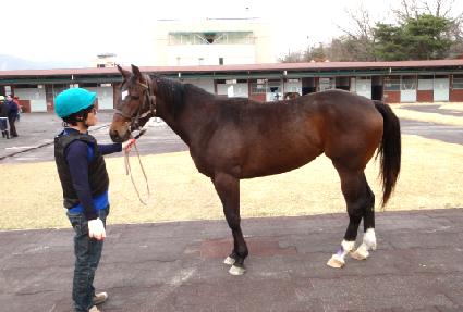 ��õ�ҳ�Ÿ ����