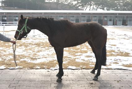 ���׸���Ʈ ����