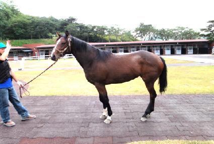 ��õ�Ǳ�� ����