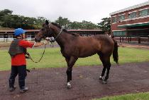 ������ũ (QUEENS PARK) ����