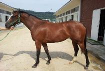 ����̷��� (STOMY RAIN) ����