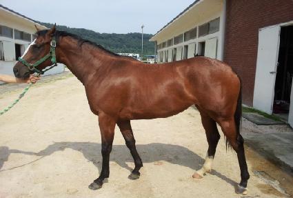 ����̷��� ����