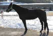 ������ (LOVING YOU) ����