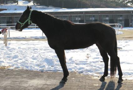 ������ ����