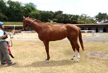 �Ƹ��� (AREUM JUN) ����