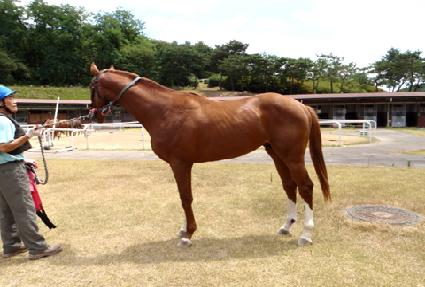 �Ƹ��� ����