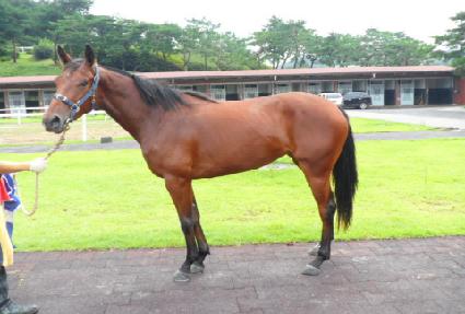 ��õ�ǻ��� ����