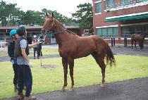 �¸�׺�Ʈ (GOOD MORNING BOLT) ����