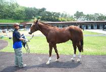 ���л꼺 (MUNHAK SANSEONG) ����