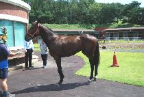 ������ƮƯ�� (ORIENT TEUKGEUP) ����