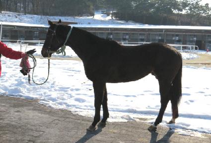 �̽��ͻ轺 ����