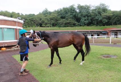 ��õ�ǵ�ǳ ����