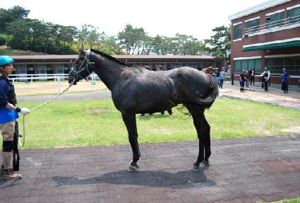 �÷��û�Ÿ ����