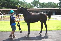 ��ȭ��ǳ (CHUNHWA CHUNPUNG) ����