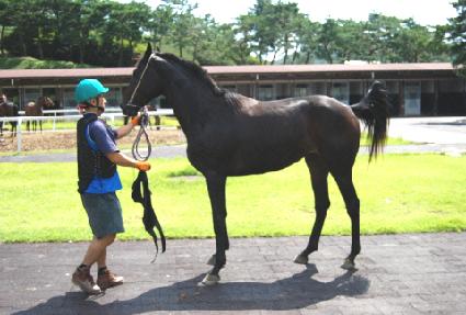 ��ȭ��ǳ ����