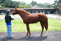 ����Ƽ���� (SMARTY VISION) ����