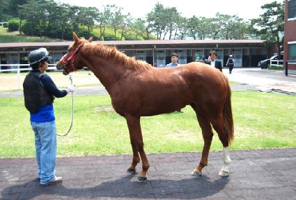 ����Ƽ���� ����