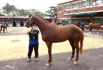 �׺������ (NAVIGATOR) ����