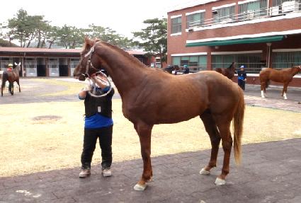 �׺������ ����