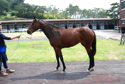 ������ ����