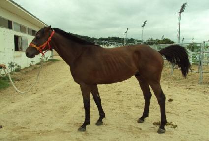 �������̺� ����