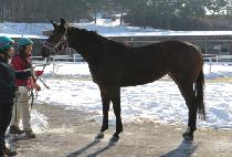 �½�Ÿ�� (GOOD STYLE) ����